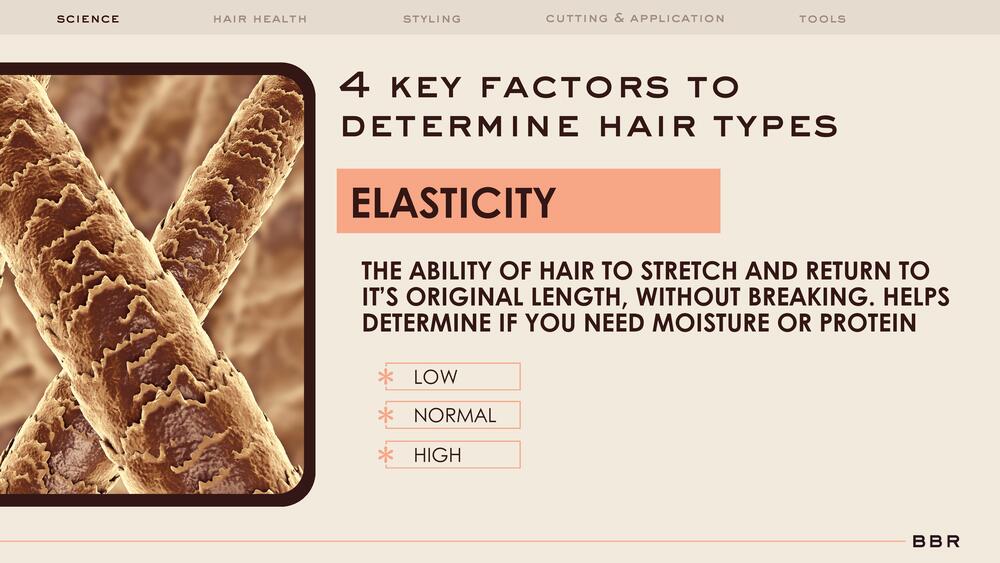 Slide 8 of 17